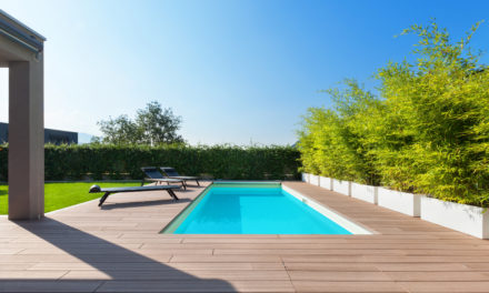 Piscine : les accessoires indispensables pour l’entretenir